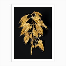 Vintage Wild Cherry Botanical in Gold on Black Art Print