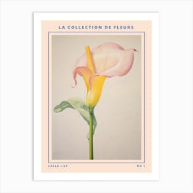 Calla Lily French Flower Botanical Poster Art Print