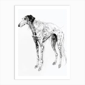 Borzoi Dog Line Sketch 3 Art Print