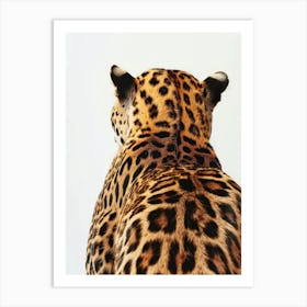 Back Of A Jaguar 1 Art Print