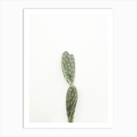 Single Cactus Art Print