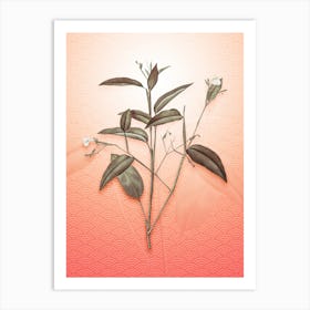 Maranta Arundinacea Vintage Botanical in Peach Fuzz Seigaiha Wave Pattern n.0183 Art Print