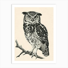 Spectacled Owl Vintage Illustration 1 Art Print