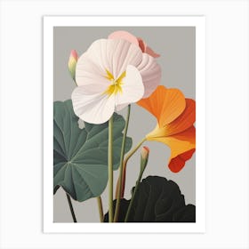 Flower Illustration Nasturtium 4 Art Print