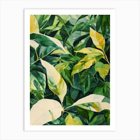 Tropical Leaves 18 Art Print