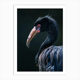 Vulture Art Print