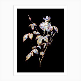 Stained Glass White Bengal Rose Mosaic Botanical Illustration on Black n.0003 Art Print