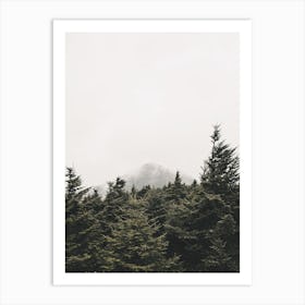 Pine Trees And Mountain Peak Art Print