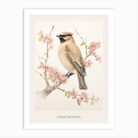 Vintage Bird Drawing Cedar Waxwing 3 Poster Art Print