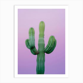 Cactus On A Purple Background Art Print