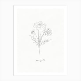 Marigold Line Drawing Art Print