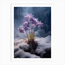 Beautiful Winter Flowers 38 Art Print