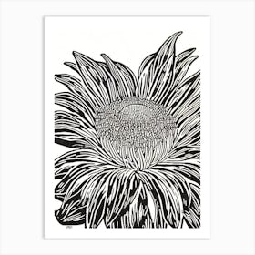 Red Waratah Anemone Linocut Art Print