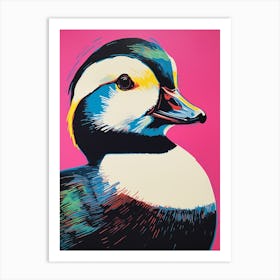 Andy Warhol Style Bird Bufflehead 1 Art Print