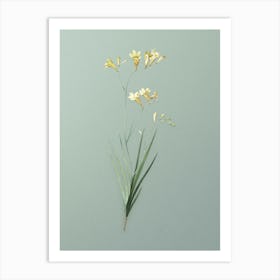 Vintage Freesia Botanical Art on Mint Green n.0745 Art Print