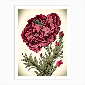 Carnation 3 Floral Botanical Vintage Poster Flower Art Print