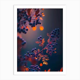 night flowers Art Print