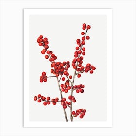 Red Berries Art Print