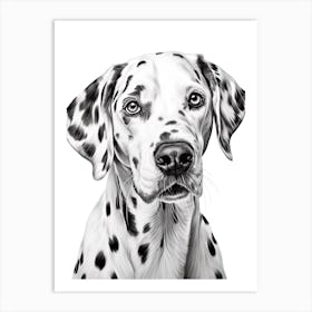 Dalmatian Dog, Line Drawing 3 Art Print