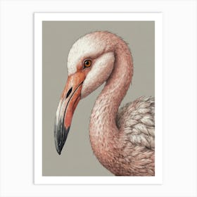 Flamingo 23 Art Print