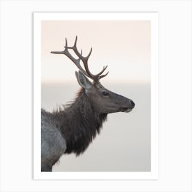 Minimalist Elk Profile Art Print