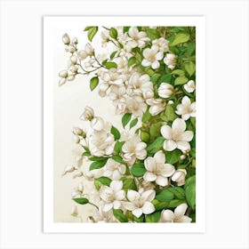 White Flowers On A Branch Art Print