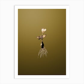 Gold Botanical Cape Tulip on Dune Yellow n.3106 Art Print