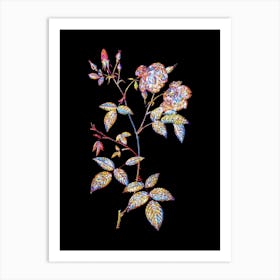 Stained Glass Velvet China Rose Mosaic Botanical Illustration on Black n.0278 Art Print