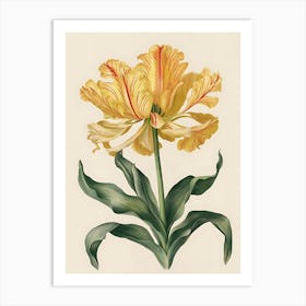 Yellow Tulip 3 Art Print