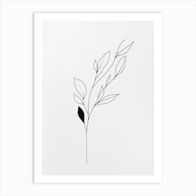 Line Drawing Of A Leaf 19 Art Print