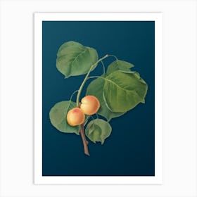Vintage Yellow Apricot Botanical Art on Teal Blue n.0969 Art Print