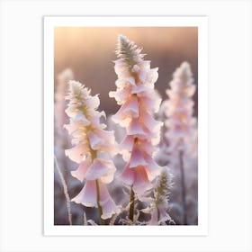 Frosty Botanical Foxglove 2 Art Print