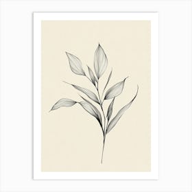 Drawing Of A Leaf Art Print