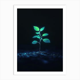 Small Green Plant In The Dark 2 Art Print