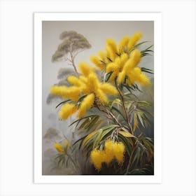 Australia Yellow Wattle Floral Art Art Print