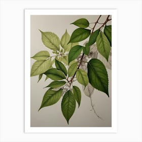 Tree With Leaves Art Print