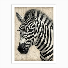 Zebra Art Print