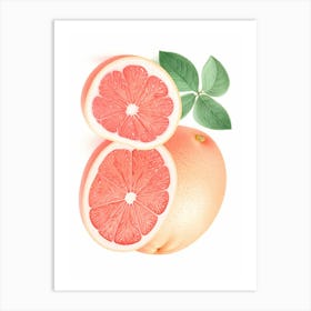 Grapefruit Art Print