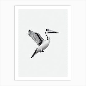 Pelican B&W Pencil Drawing 3 Bird Art Print