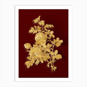 Vintage Sulphur Rose Botanical in Gold on Red n.0007 Art Print