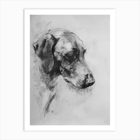 English Foxhound Dog Charcoal Line 3 Art Print