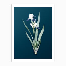 Vintage Tall Bearded Iris Botanical Art on Teal Blue n.0974 Art Print