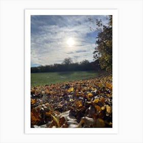 Autumn Leaves In A Field 1 Art Print