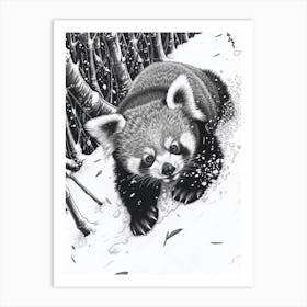 Red Panda Cub Sliding Down A Snowy Hill Ink Illustration 2 Art Print