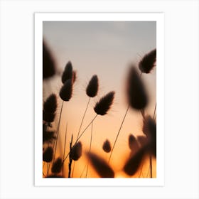 Grasses Dancing Against Sunset Skies Art Print