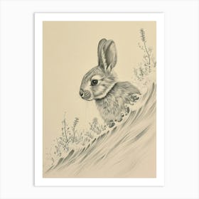 Blanc De Hotot Rabbit Drawing 3 Art Print
