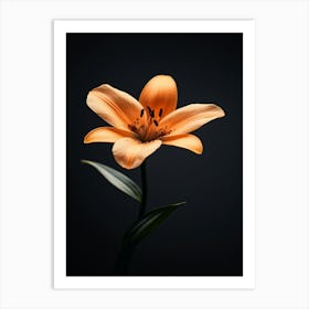 Orange Lily 7 Art Print