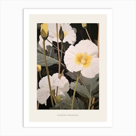 Flower Illustration Evening Primrose 3 Poster Art Print