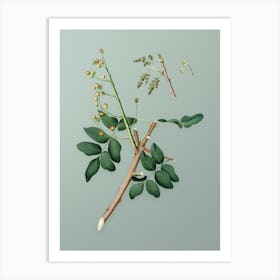 Vintage Pistachio Botanical Art on Mint Green Art Print