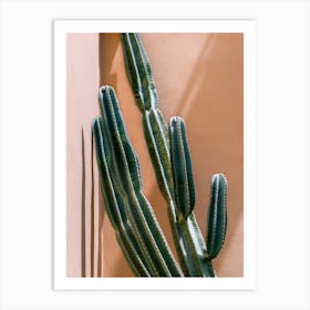 Cactus against pink wall in Fes, Morocco | Colorful travel photography Art Print